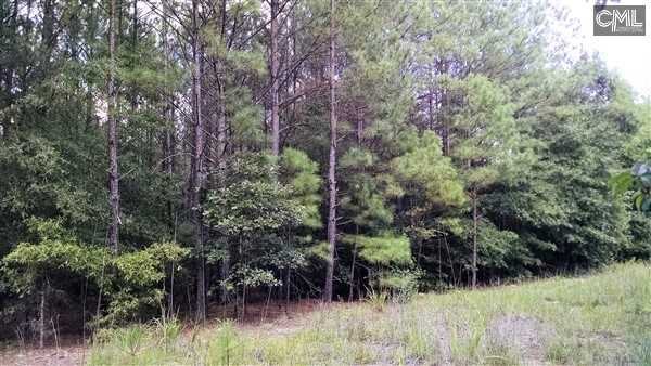 0 ASHFORD FERRY Road, Carlisle, SC 29031