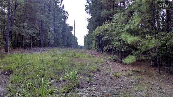 0 ASHFORD FERRY Road, Carlisle, SC 29031