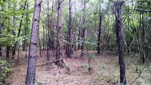 0 ASHFORD FERRY Road, Carlisle, SC 29031