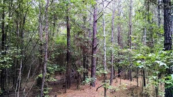 0 ASHFORD FERRY Road, Carlisle, SC 29031