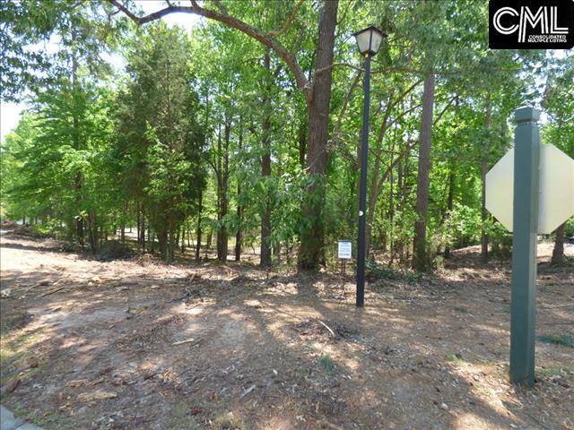 703 OXENBRIDGE Court, Chapin, SC 29036