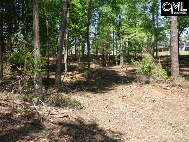 703 OXENBRIDGE Court, Chapin, SC 29036