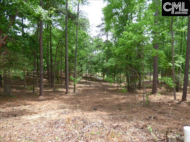 703 OXENBRIDGE Court, Chapin, SC 29036