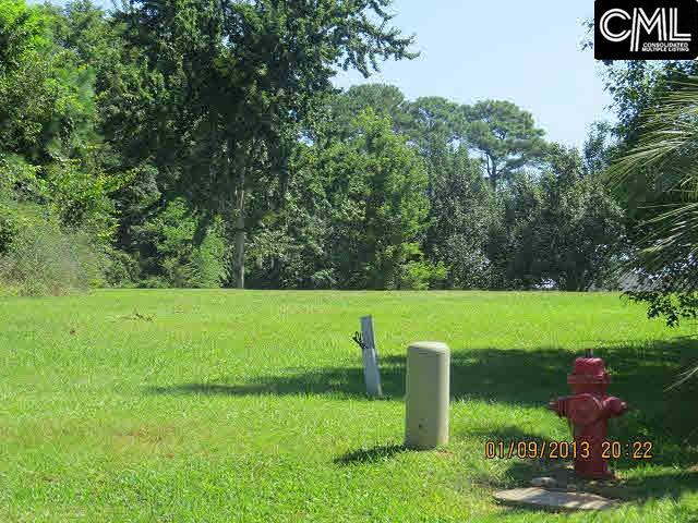 149 LAKE VISTA Drive, Chapin, SC 29036