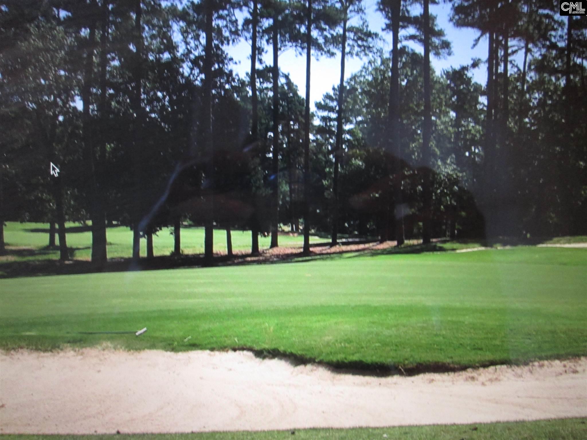 119 Water Links Drive, Chapin, SC 29036