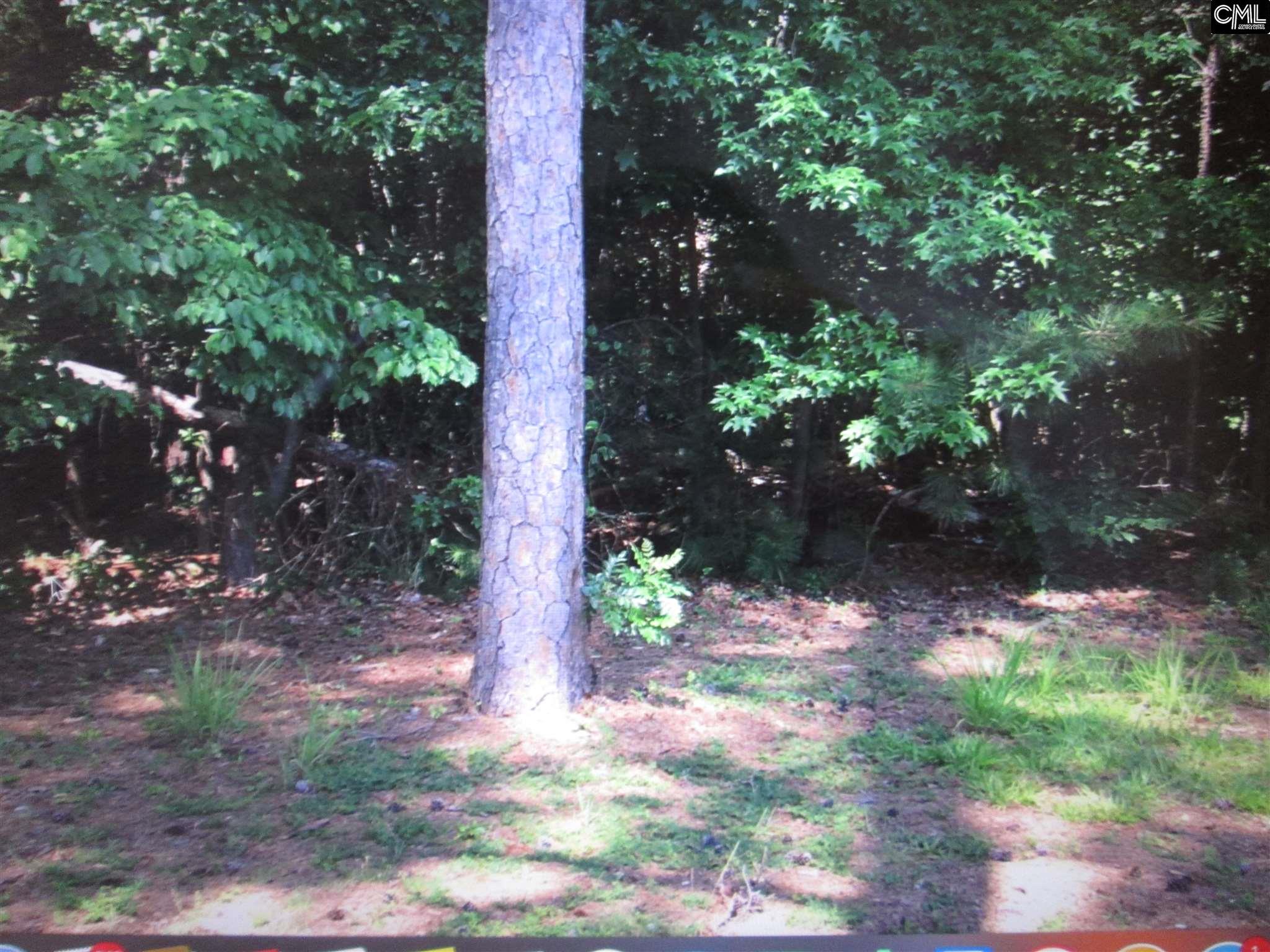 119 Water Links Drive, Chapin, SC 29036