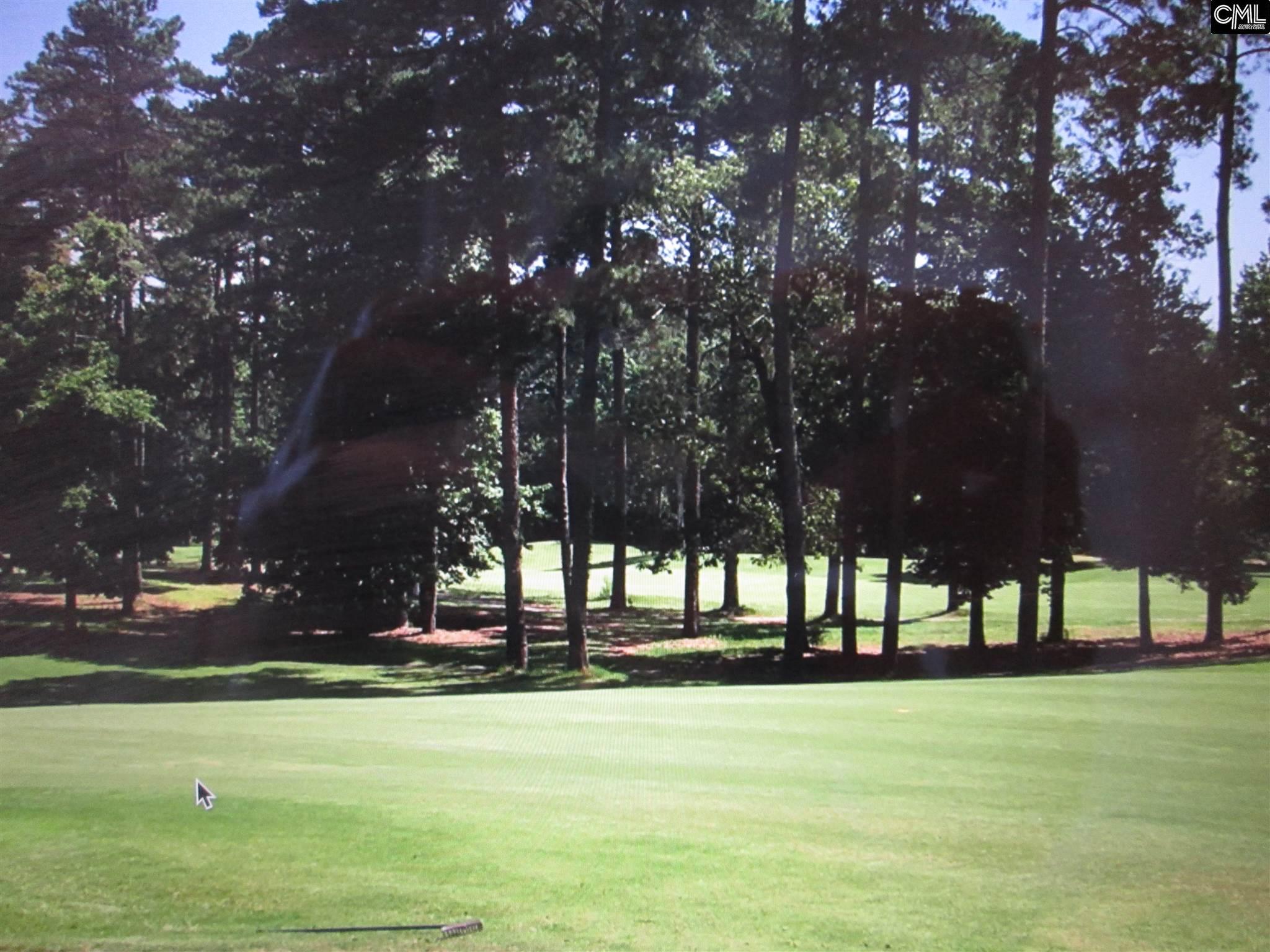 119 Water Links Drive, Chapin, SC 29036
