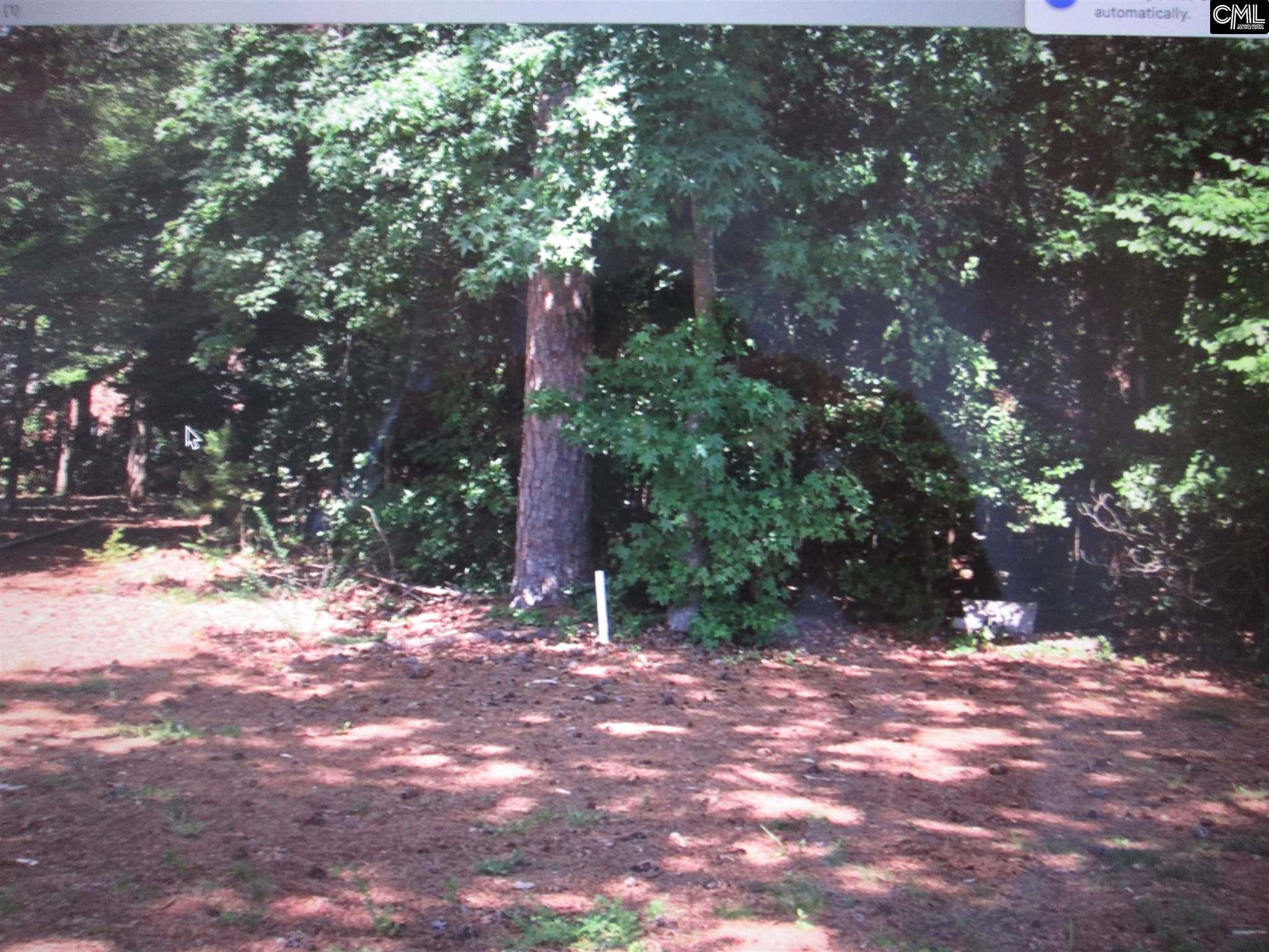 119 Water Links Drive, Chapin, SC 29036