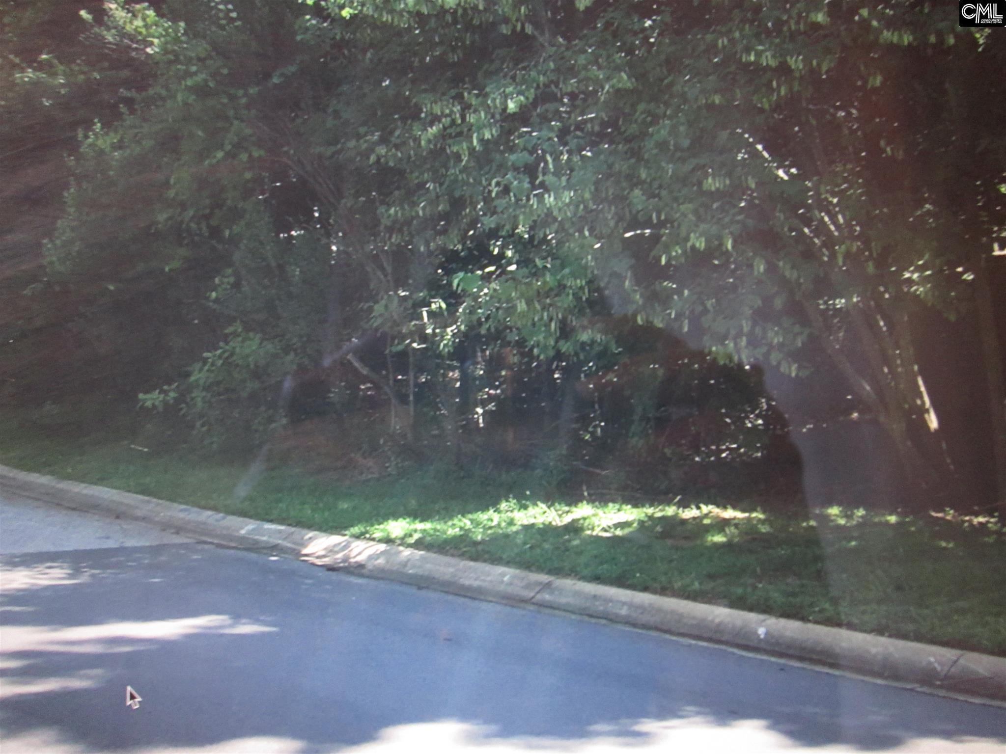 119 Water Links Drive, Chapin, SC 29036