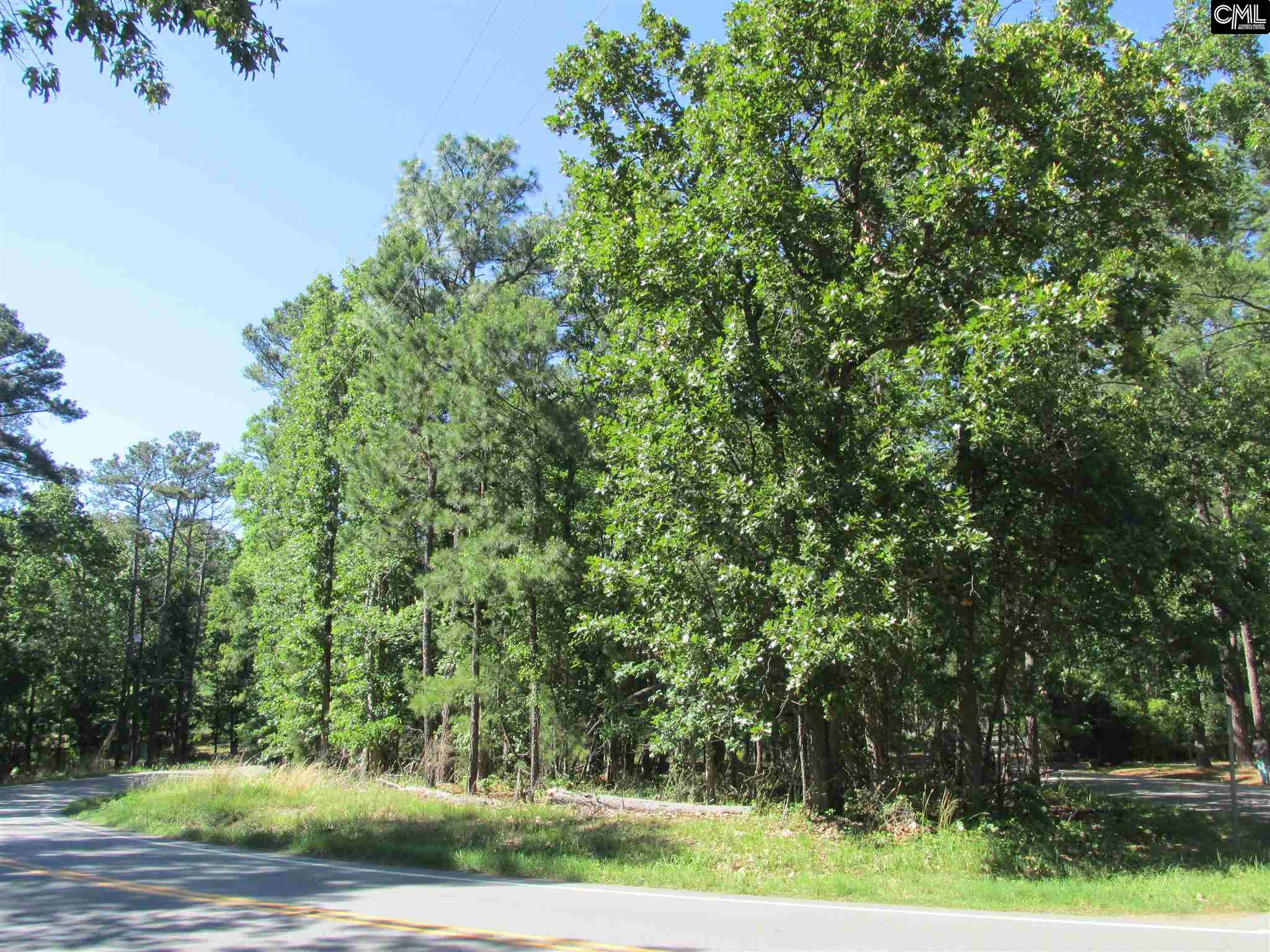 Richard Franklin Road, Chapin, SC 29036