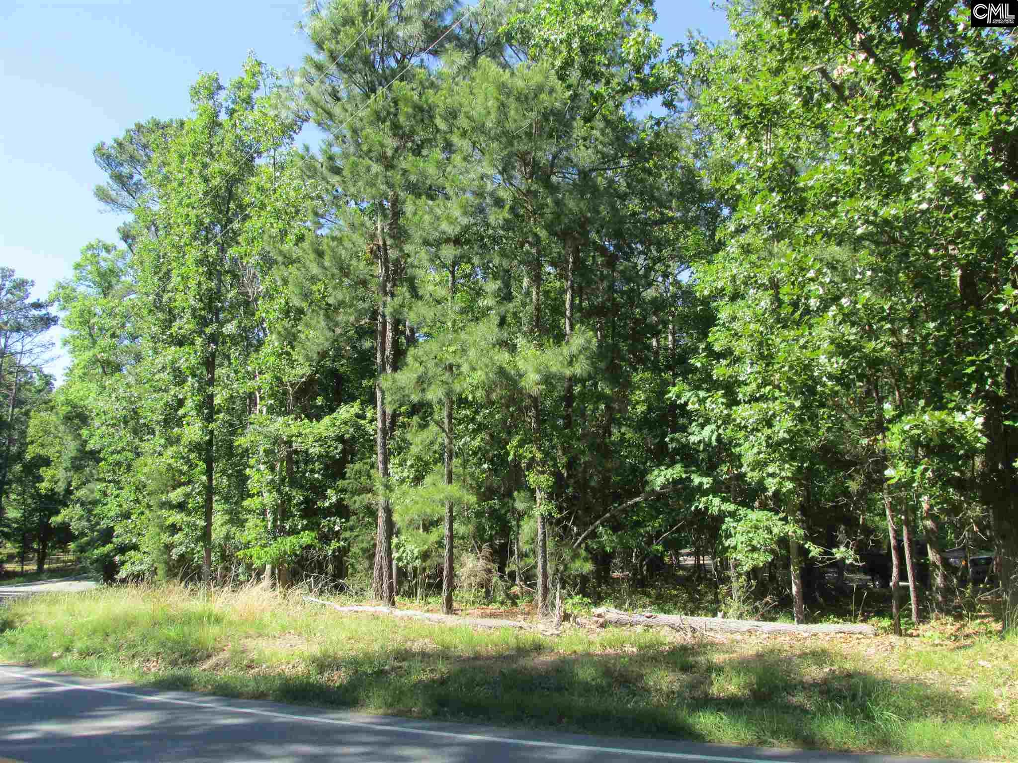 Richard Franklin Road, Chapin, SC 29036