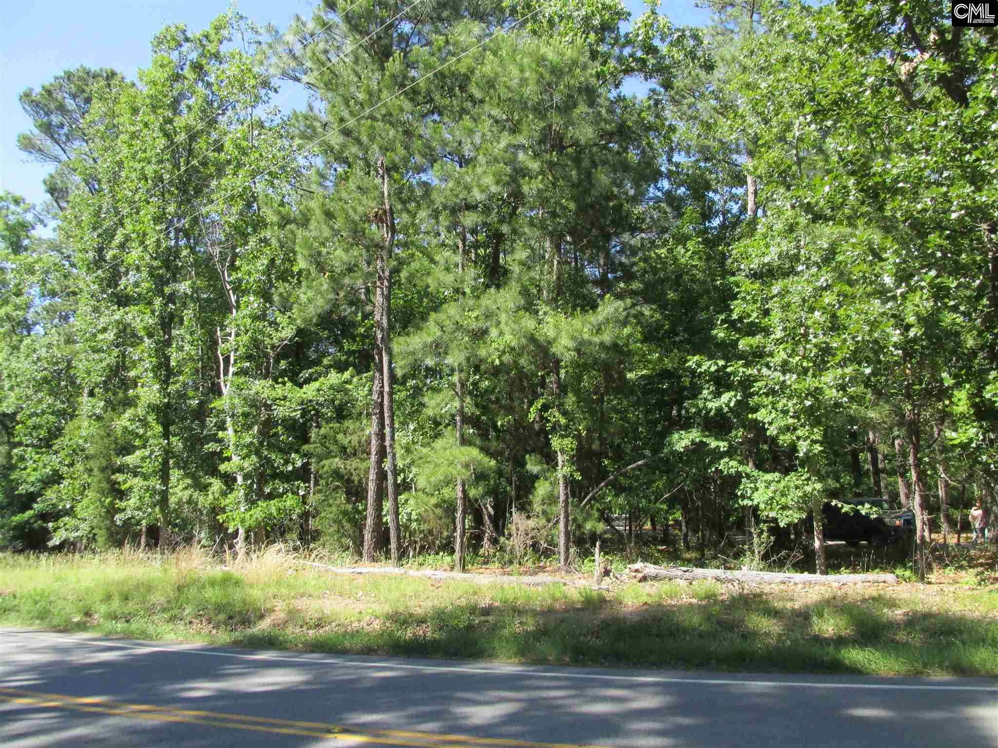 Richard Franklin Road, Chapin, SC 29036