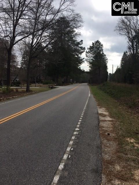 0 Lake Tide Drive, Chapin, SC 29036