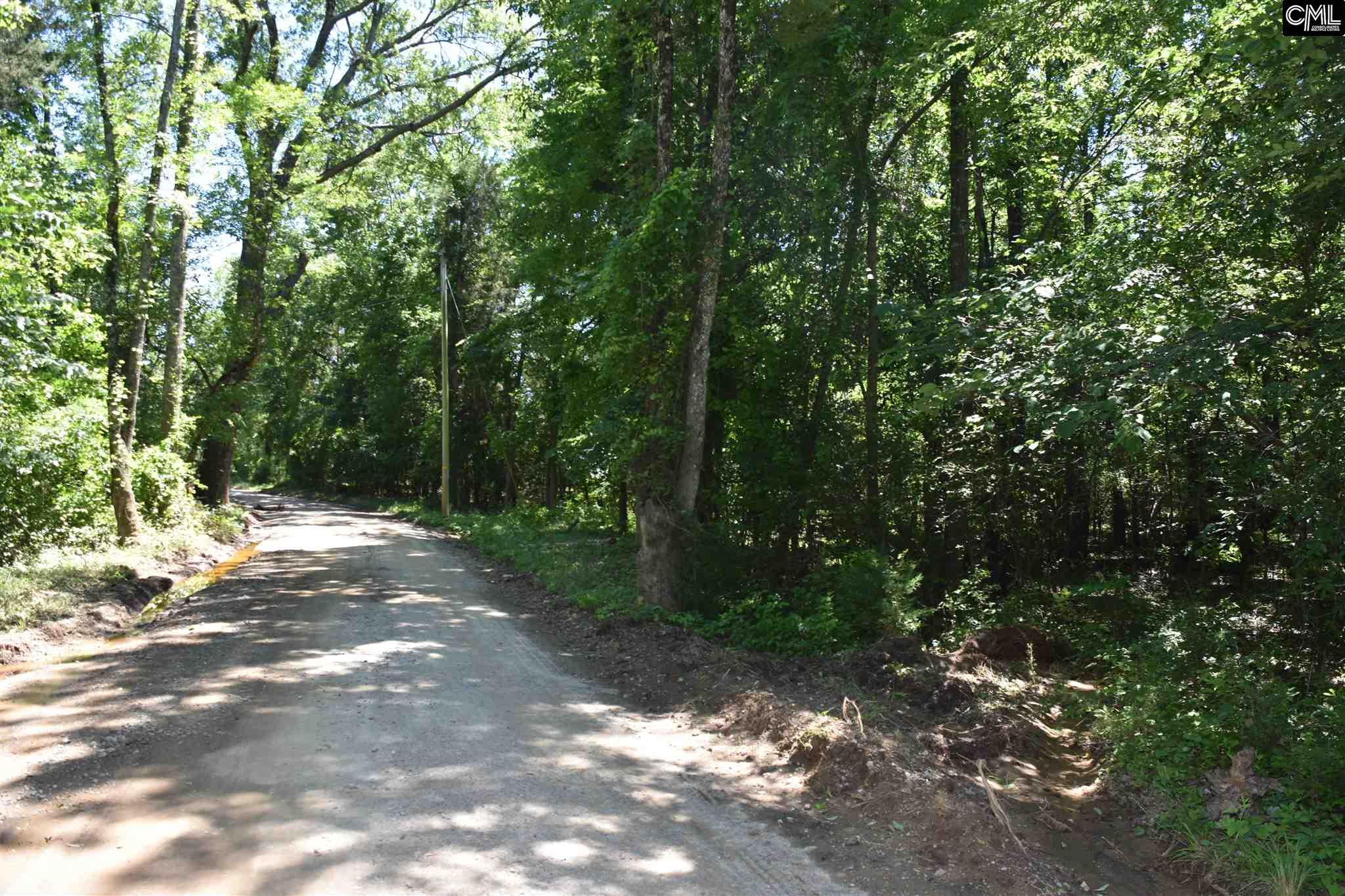 150 George Bouknight Lane, Chapin, SC 29036
