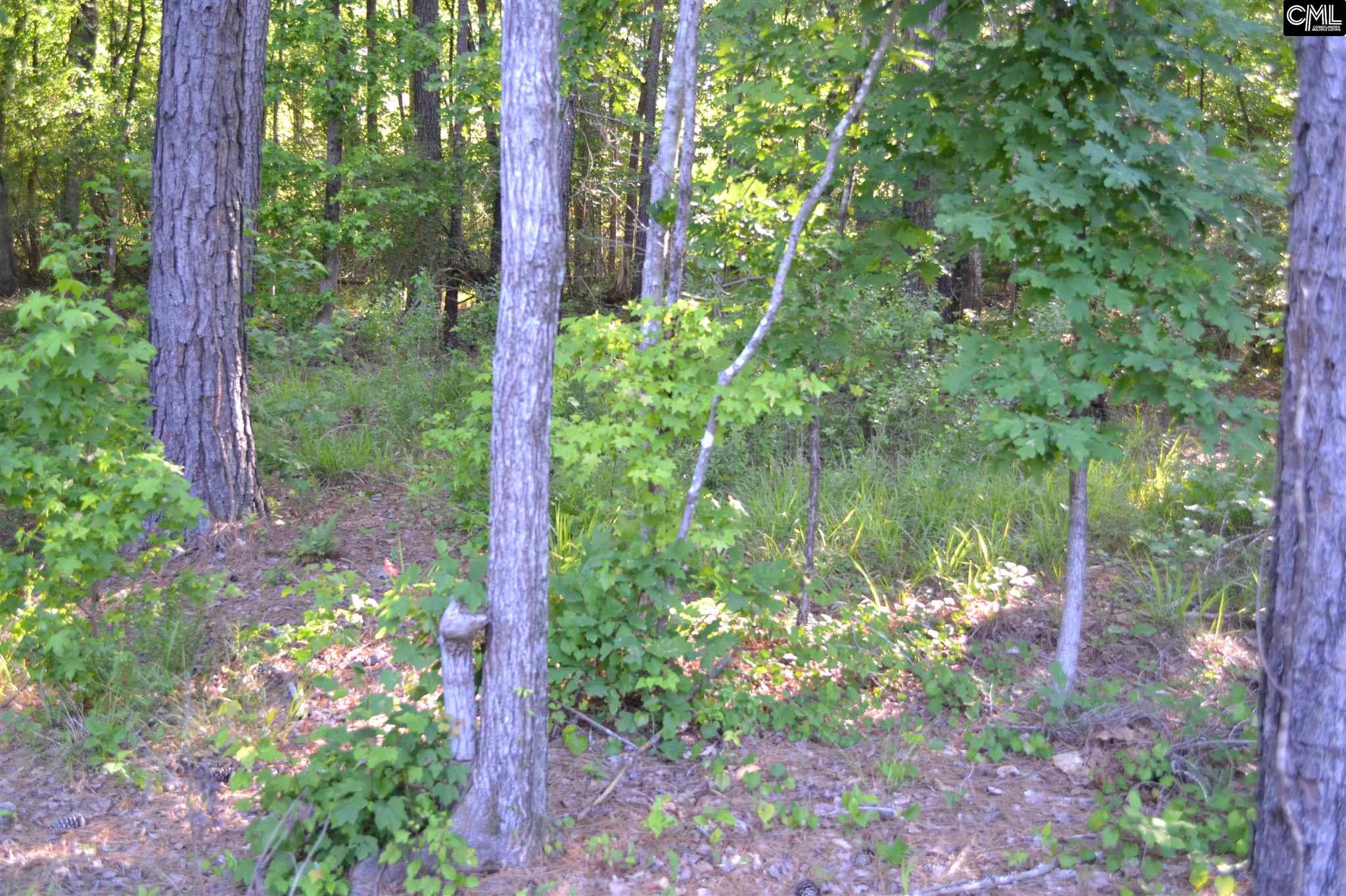 106 Woolbright Avenue, Chapin, SC 29036