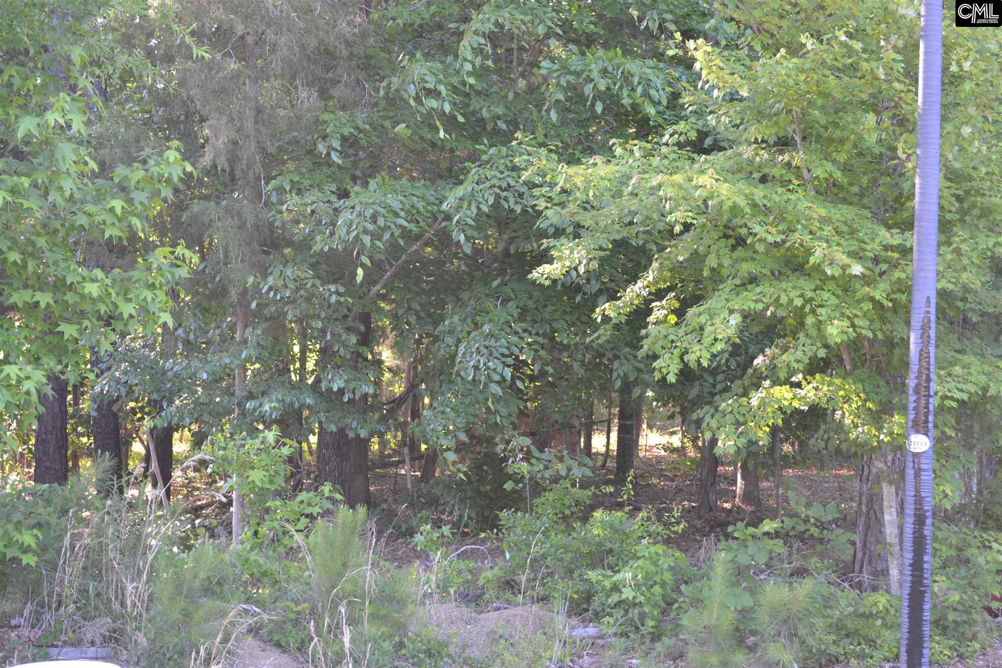 106 Woolbright Avenue, Chapin, SC 29036