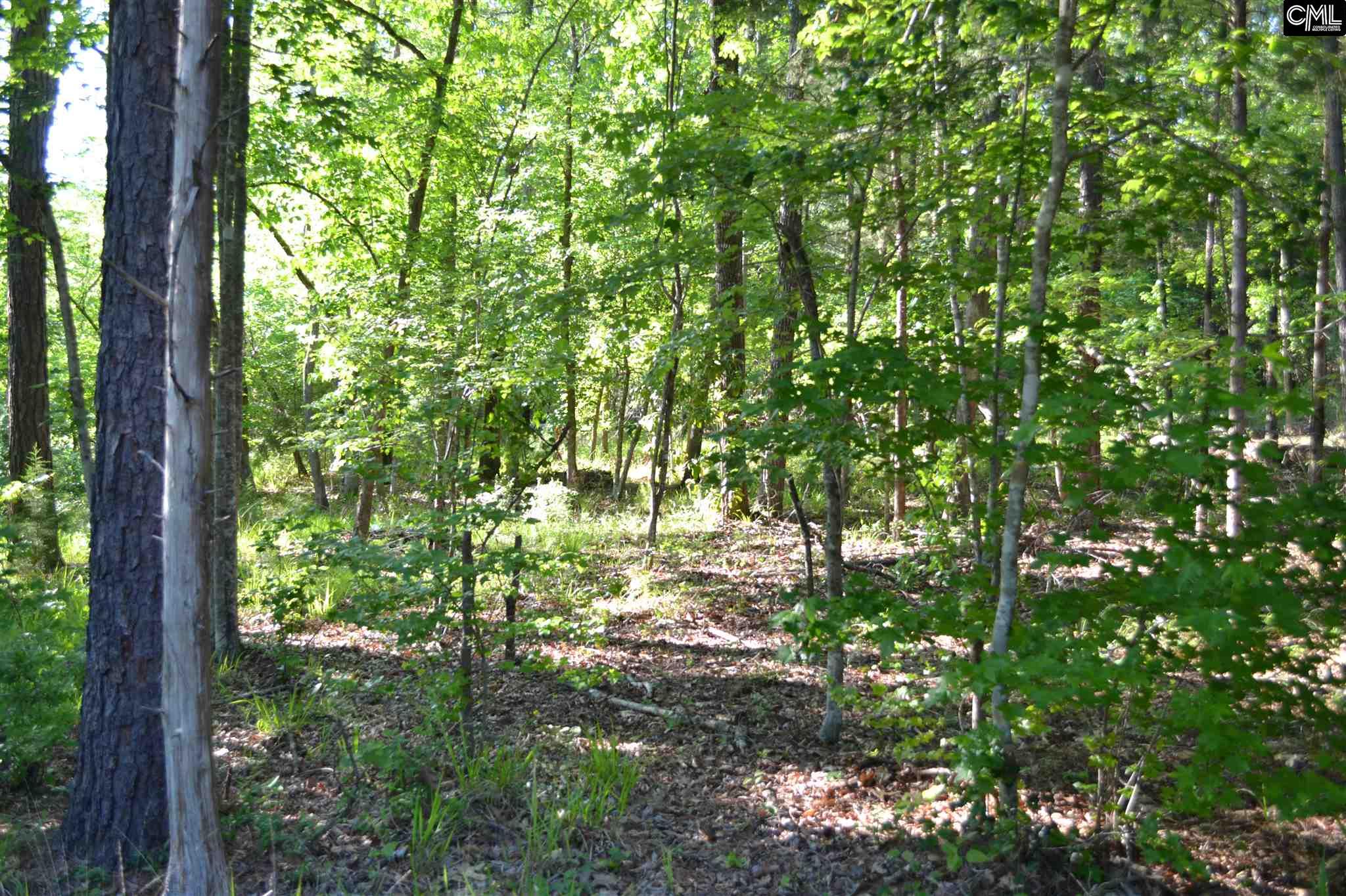 107 Woolbright Avenue, Chapin, SC 29036