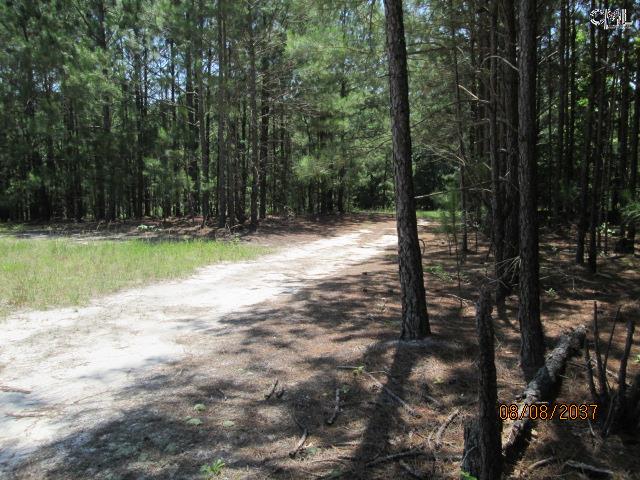 0 KELLY MILL Road, Elgin, SC 29045