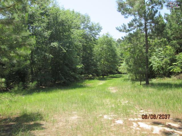 0 KELLY MILL Road, Elgin, SC 29045