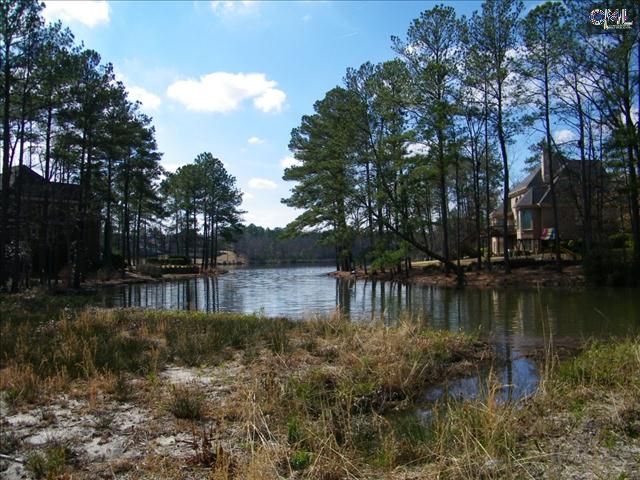 4 Beaver Lake Court, Elgin, SC 29045