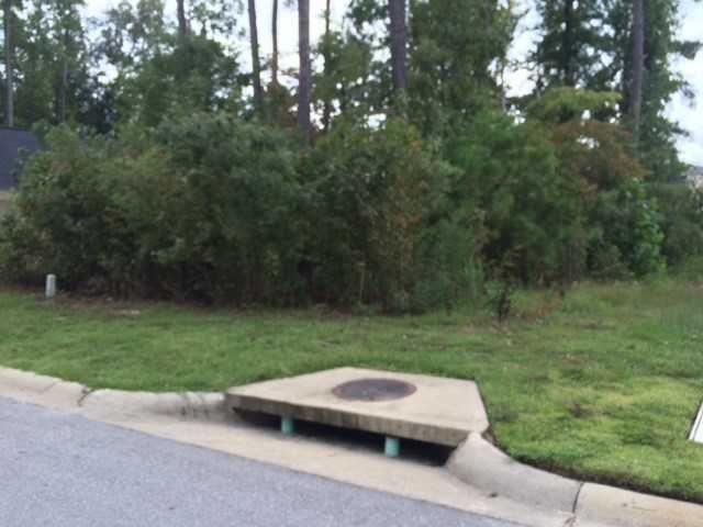 616 BEAVER PARK Drive, Elgin, SC 29045