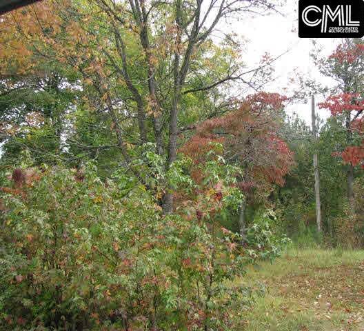 139 HANLON Drive, Elgin, SC 29045