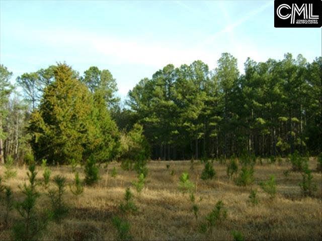 11 KEELS Court, Elgin, SC 29045