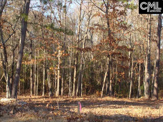 53 RAMBLING Drive, Elgin, SC 29045