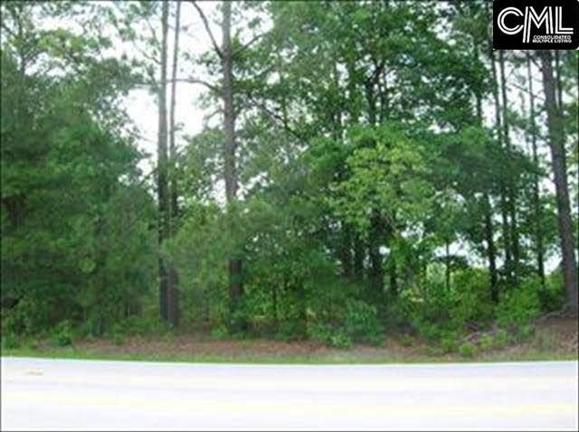 53 RAMBLING Drive, Elgin, SC 29045