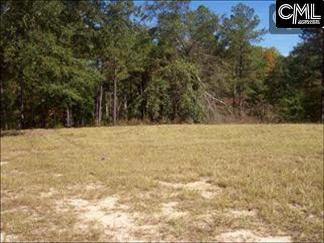 53 RAMBLING Drive, Elgin, SC 29045