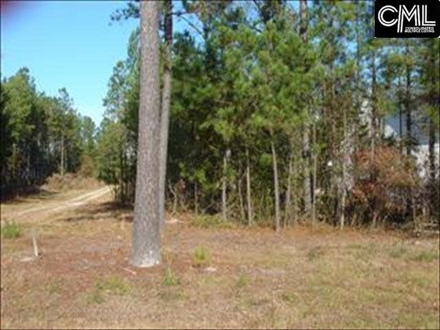 60 RAMBLING Drive, Elgin, SC 29045