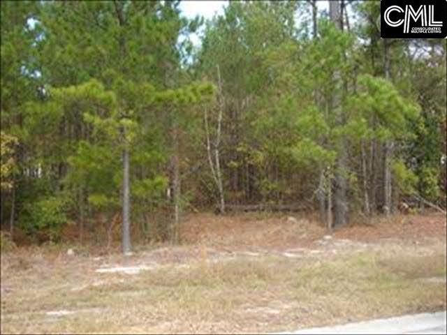 60 RAMBLING Drive, Elgin, SC 29045