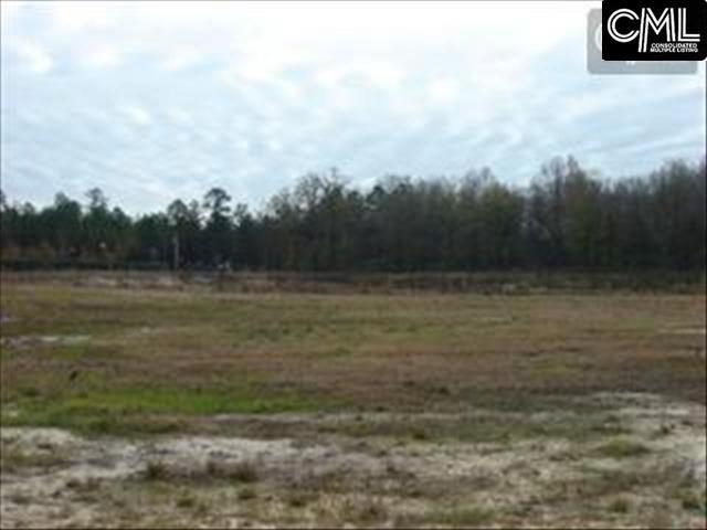 60 RAMBLING Drive, Elgin, SC 29045