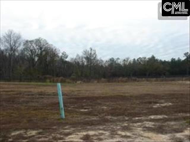 60 RAMBLING Drive, Elgin, SC 29045