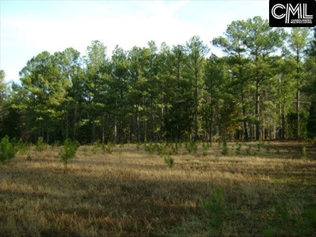 100 HANLON Drive, Elgin, SC 29045