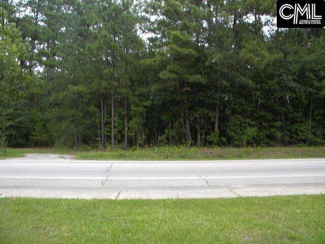 100 HANLON Drive, Elgin, SC 29045