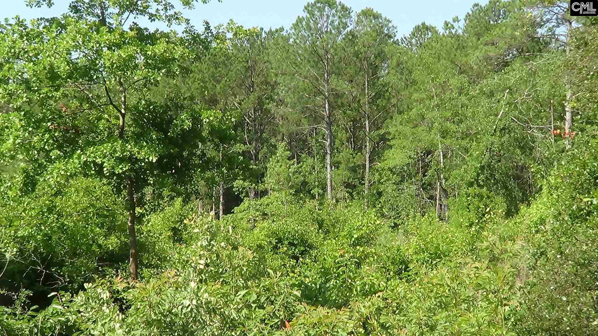 1529 Wildwood Lane, Elgin, SC 29045