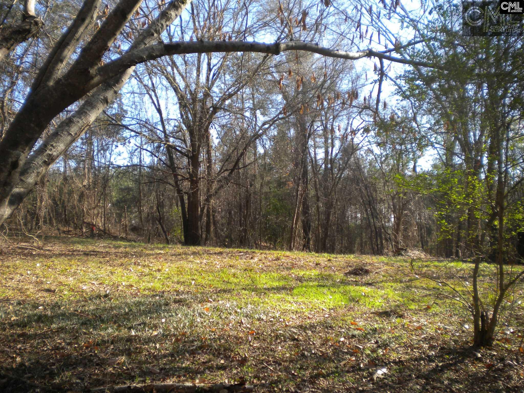 1332 HIDDEN VALLEY Road, Elgin, SC 29045