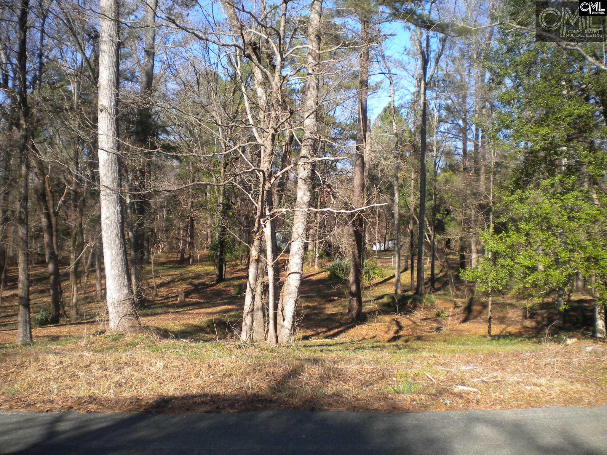 1332 HIDDEN VALLEY Road, Elgin, SC 29045