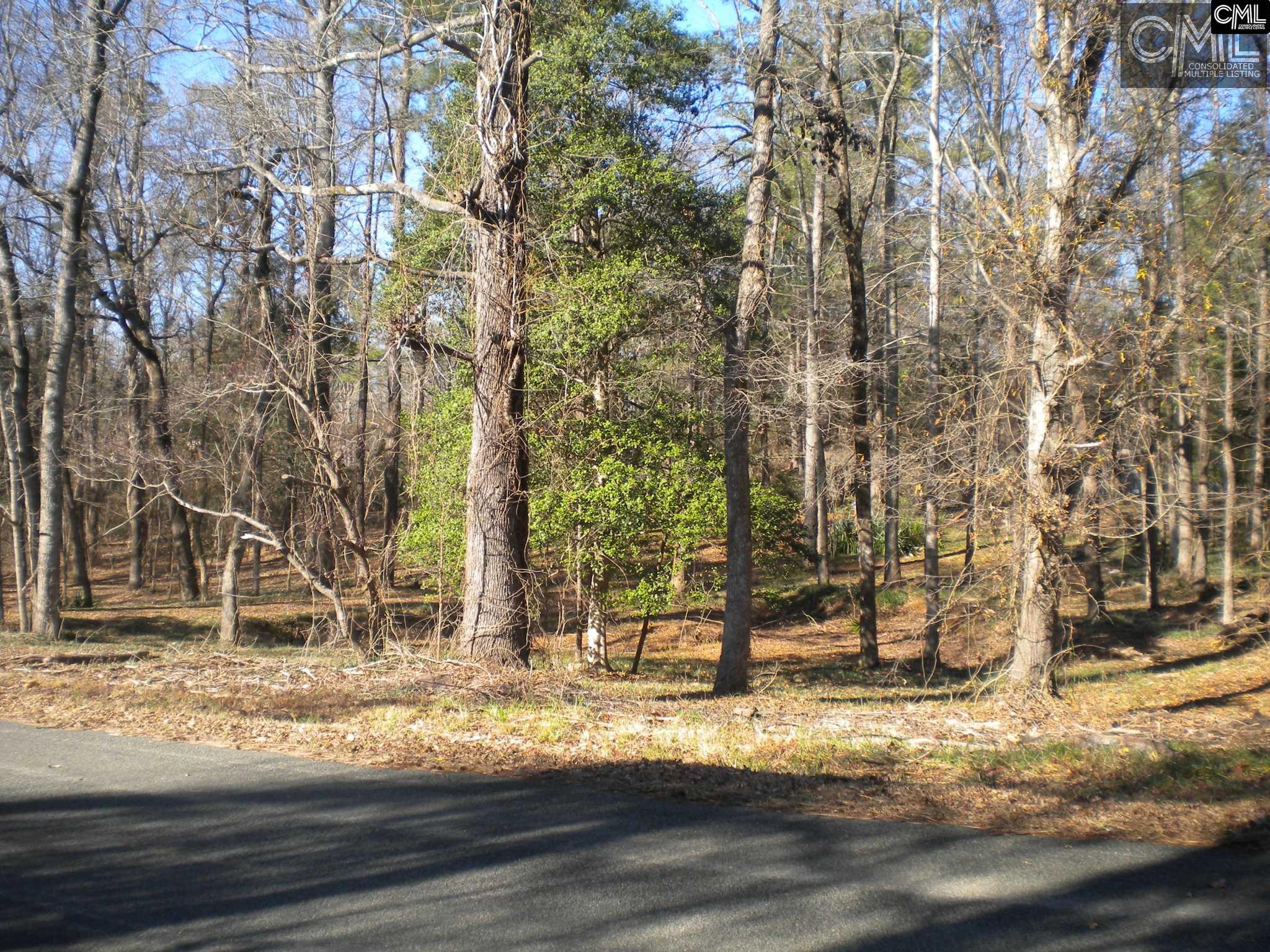 1332 HIDDEN VALLEY Road, Elgin, SC 29045