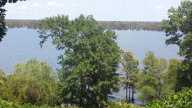 Lot 4 Rosewood Lane, Elloree, SC 29047