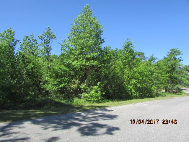 01 Riverside Drive, Eutawville, SC 29048