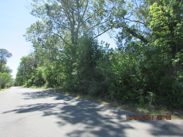 01 Riverside Drive, Eutawville, SC 29048