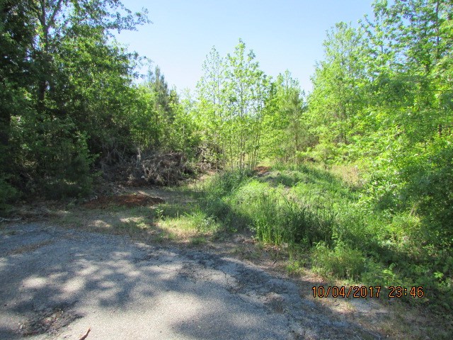 01 Riverside Drive, Eutawville, SC 29048