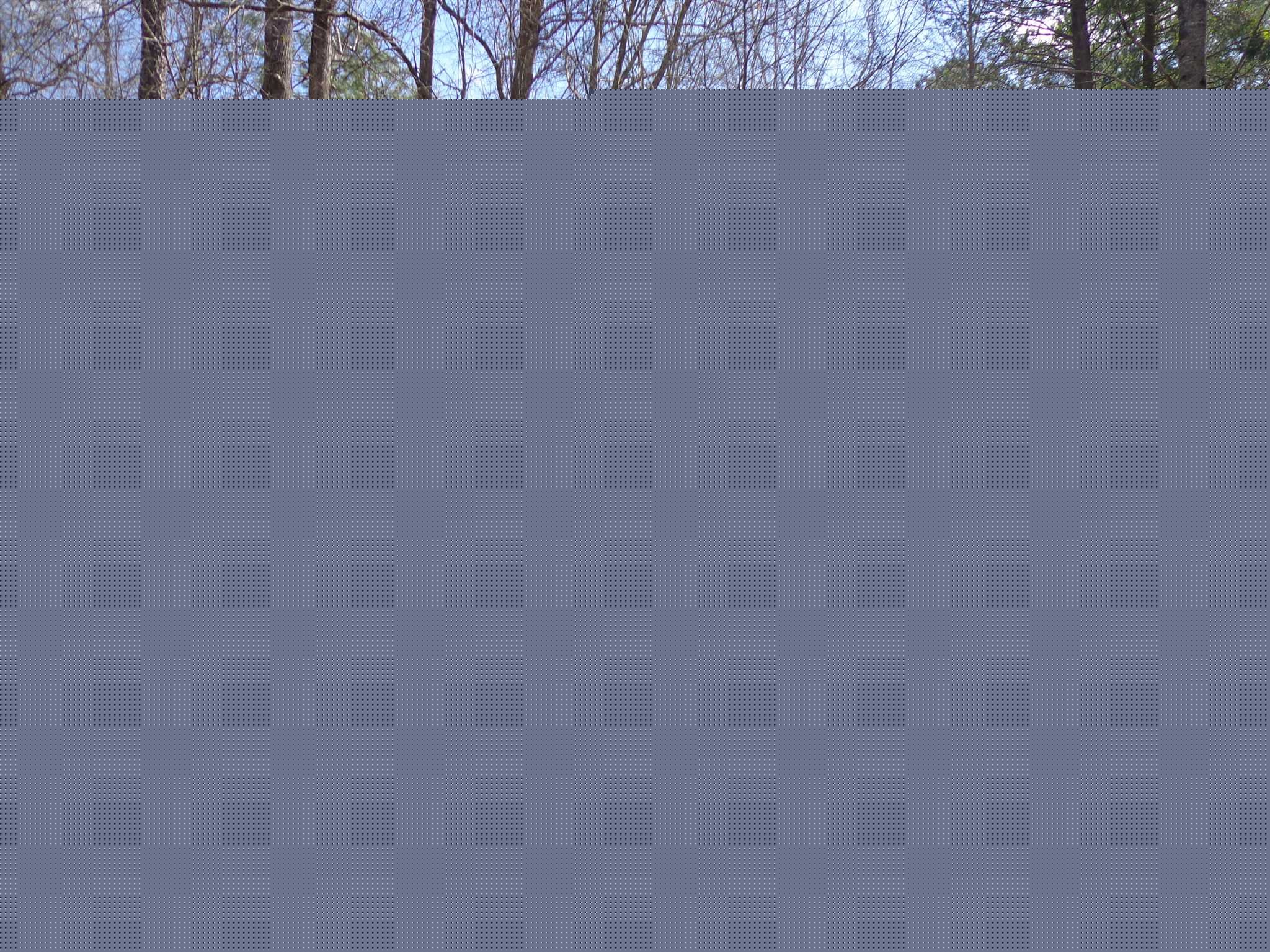 Lot 17 BAKER MILL LAKE, Gaston, SC 29053