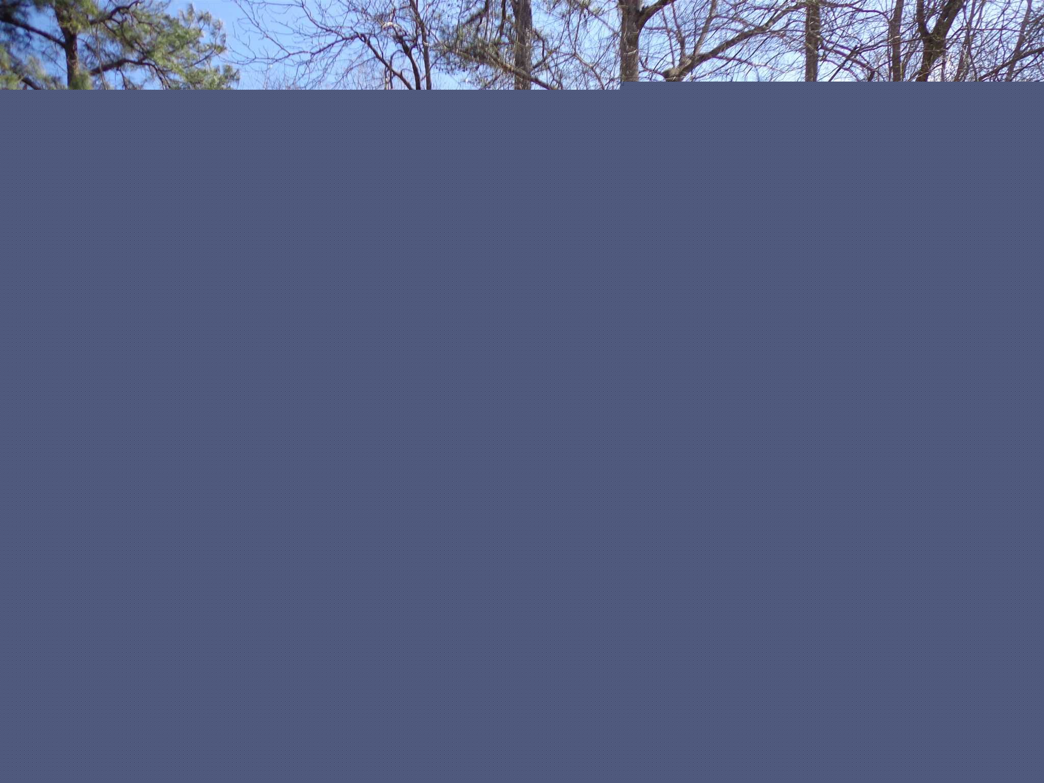 Lot 17 BAKER MILL LAKE, Gaston, SC 29053