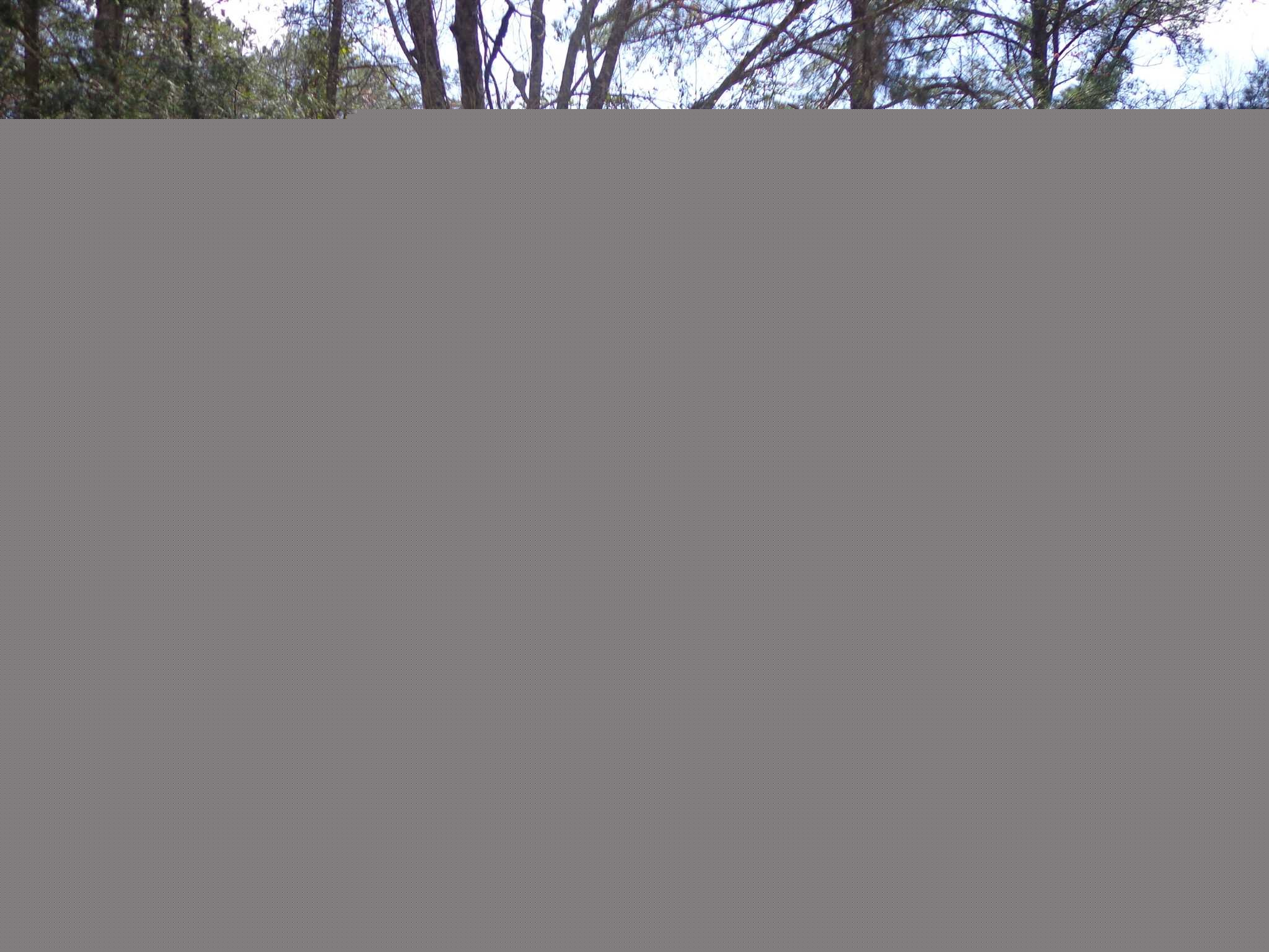 Lot 17 BAKER MILL LAKE, Gaston, SC 29053