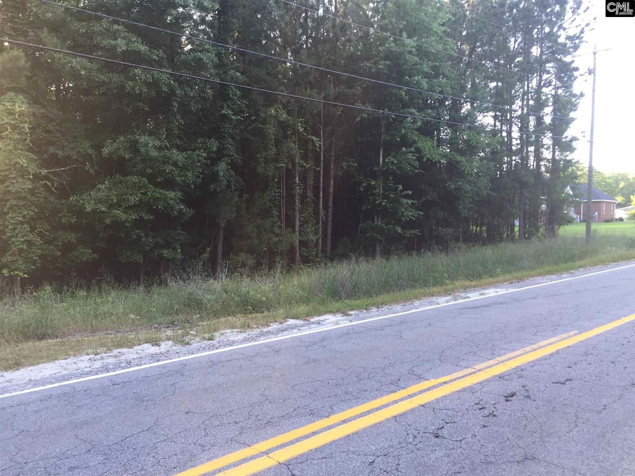 0 Fish Hatchery Road, Gaston, SC 29053