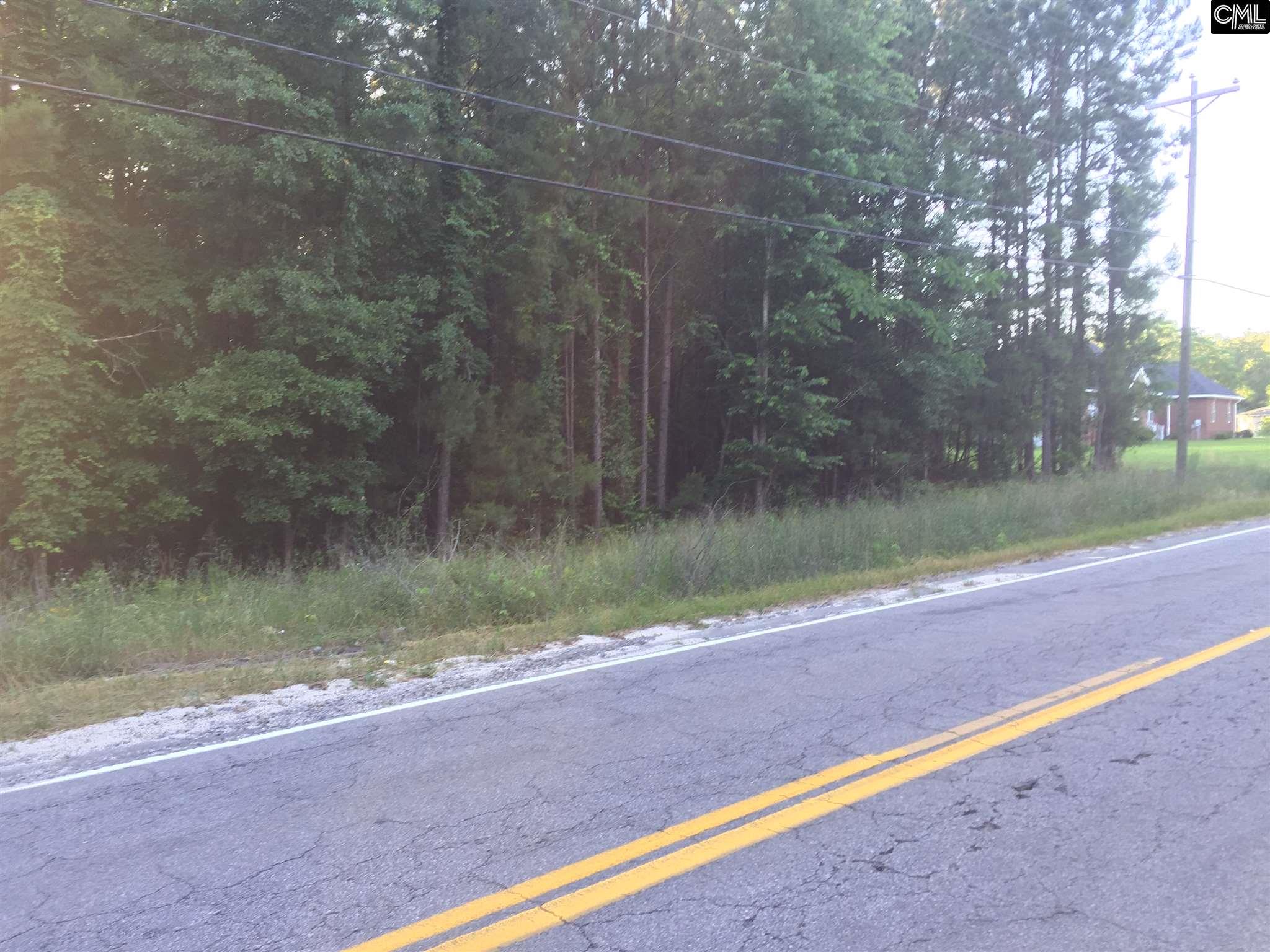 0 Fish Hatchery Road, Gaston, SC 29053