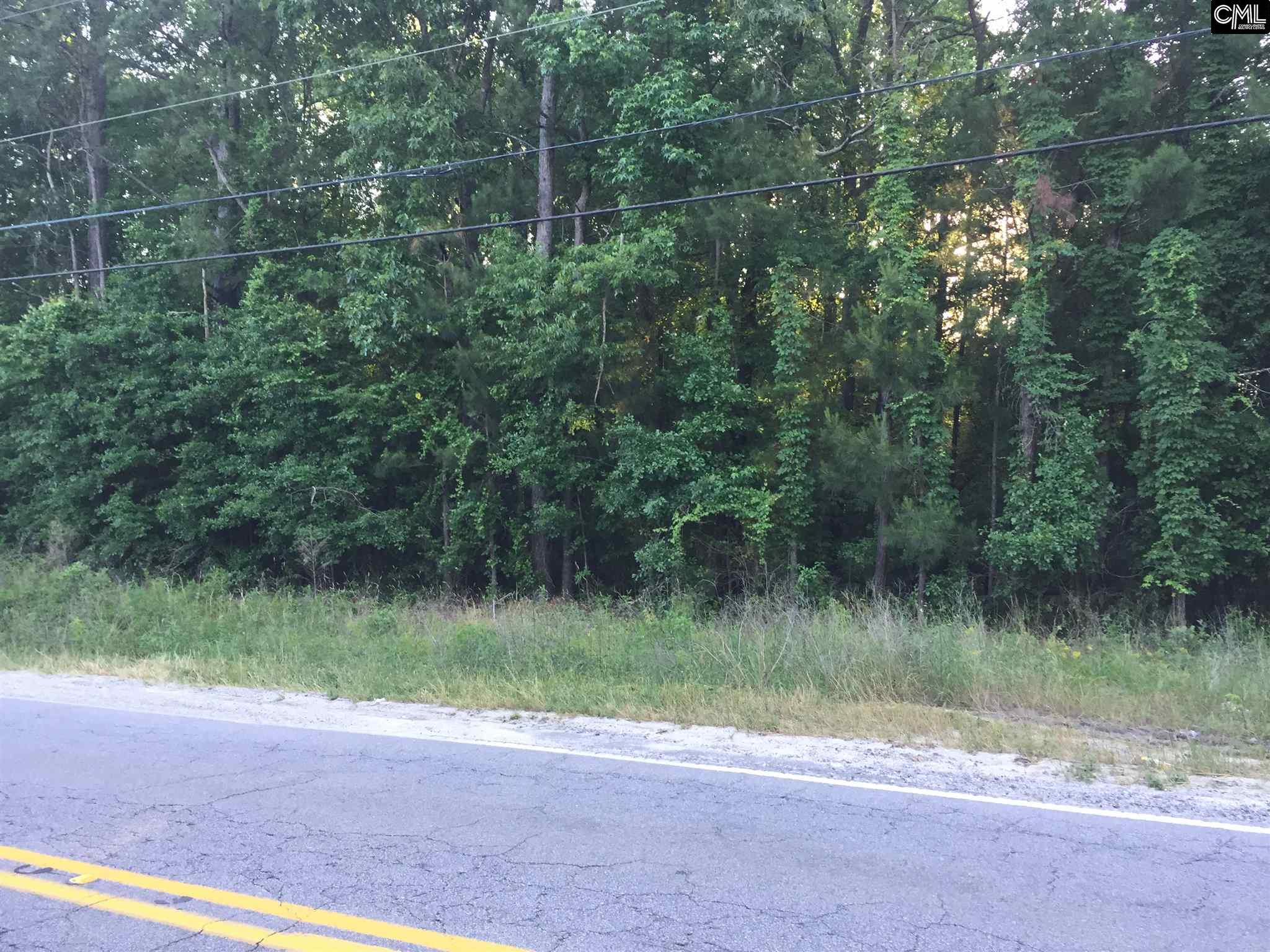 0 Fish Hatchery Road, Gaston, SC 29053
